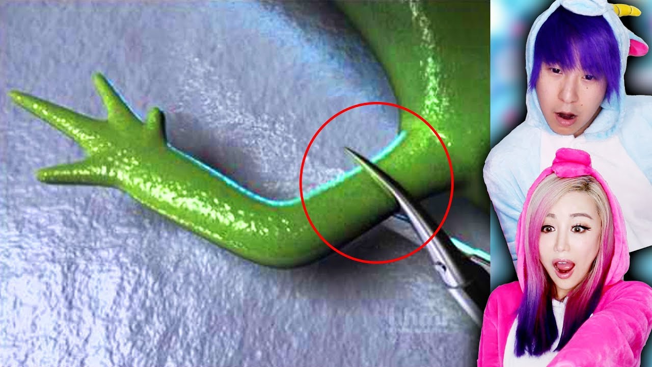 photoscape Animals With Real Life Superpowers!