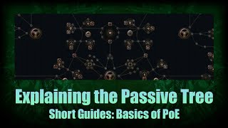 How does the Passive Tree work? | Basics of PoE Short Guide