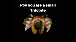 anomalocaris tribute/edit