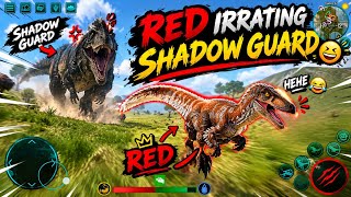 Irritating Shadow Guard Till He Killed Me | Red vs Shadow Guard | The Most Annoying Chase! 😂