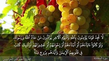 الجزء الثامن والعشرون مكتوب ومسموع بصوت القارئ المهندس أحمد فايز الحراسيس