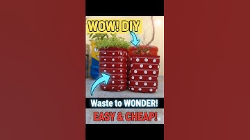 💡 “This Waste Container Just Became a Beautiful Planter! 🌿 You’ll Be Shocked!”