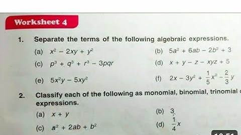Dav Class 6 Math Chapter 6 Worksheet 4 || Introduction To Algebra || @madhubanclasses