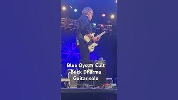 Blue Oyster Cult #rocknroll #livemusic #guitarsolo #boc #buckdharma