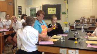 PRELAB - density lab