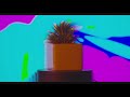 Spinning cactus emenating color fields  slow tv  moving art  2 hours  psychedelic