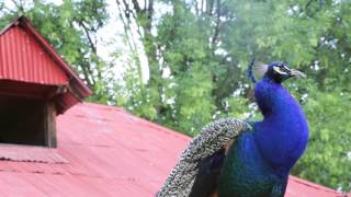 Hacienda Venta de Guadalupe