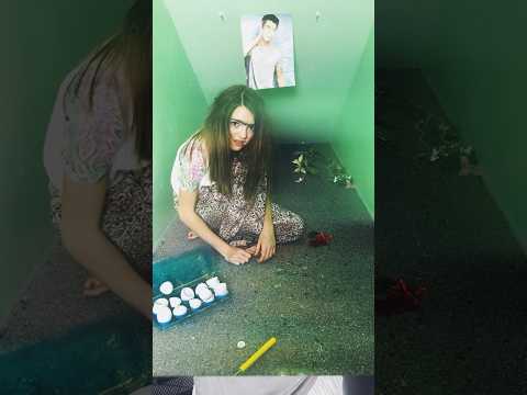 Gertie & Therma Secrets