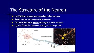PSY 101 Chapter 2 Video Lecture