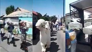 Ozbegim Toyi Bunaqasi Hali Bolmagan - Yangi Telegram Prikollar / Uzbek Prikol