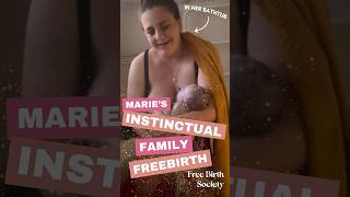 Maries Instinctual Family Freebirth in Australia
✨Welcome to Free Birth Society! We are bringing wild pregnancy, freebirth, and sovereign midwifery to the public. Here, youll find a video collection of women birthing entirely outside of the medical paradigm, with no medical providers present.
It may sound crazy at first, but come along for the ride and let your mind get blown. When you want more, be sure to check out our podcast, which has hundreds of women telling their freebirth stories!
Women all over the world are shifting birth culture and birthing their babies freely and in their power, will you become one of them!?✨
This video features Marie just moments after freebirthing her second baby at home, in her bathtub, witnessed by her husband and son. After being left alone in the hospital during her first birth, she realized she could birth totally on her own and in her power.
I never felt the urge to have anyone in my birth space, I felt that the entire pregnancy and my instinct remained strong. ~ Marie
✨Get your *FREE* Freebirth Starter Kit today: https://www.freebirthsociety.com/starterkitoptin
The Freebirth Starter Kit is Free Birth Societys largest free resource ever created, and its for anyone curious about birthing outside the system. In 3+ hours of direct teachings from Emilee Saldaya, youll learn what freebirth is, why women choose it, what freebirth is NOT, what a wild pregnancy is, how to navigate complications and emergencies, and so much more. Youll also get a downloadable podcast guide with our top podcast episodes to start you on your journey, and an EPIC compilation of freebirth stories written in the words of the mothers themselves. Youll have lifetime access to all of it - forever!
✨Check out everything we offer at https://www.freebirthsociety.com
You can find Marie on Instagram: @mama_fairy_
Freebirth | Sovereign Birth | Home Birth | Birth in Power | Water Birth | Natural Birth | Birth at Home | Birth Video | Birth Vlog Maries Instinctual Family Freebirth in Australia