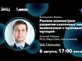 Цикл лекций NGM Ранние асимметрии развития клеточных линий выявленные с помощью мутаций Цикл лекций NGM Ранние асимметрии развития клеточных линий выявленные с помощью мутаций