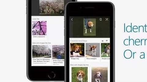 MICROSOFT LAUNCHER BETA UPDATE HAS NEW AMAZING IMPROVEMENTS