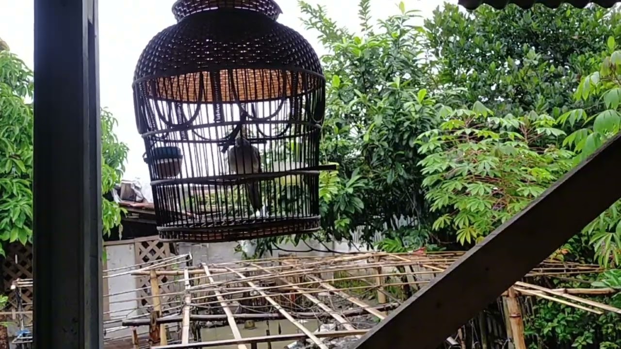 ASMR real live, for relaxation and insomnia