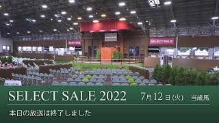 セレクトセール2022 生中継 ２日目 当歳馬