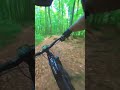Testing new bike on local training trail #radon #mtb #enduromtb #trail