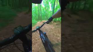 Testing new bike on local training trail #radon #mtb #enduromtb #trail