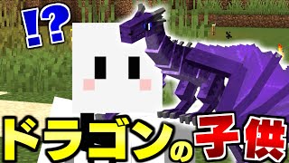 【マイクラ】ドラゴンだらけの世界で全てのドラゴンを飼いならす #7 ドラゴンのママになりました【マインクラフト】