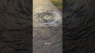 Thousands of Worms Form a Perfect Spiral... What Does This Mean?😱