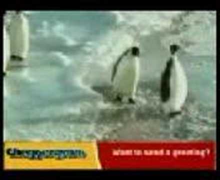pingüino cabron
