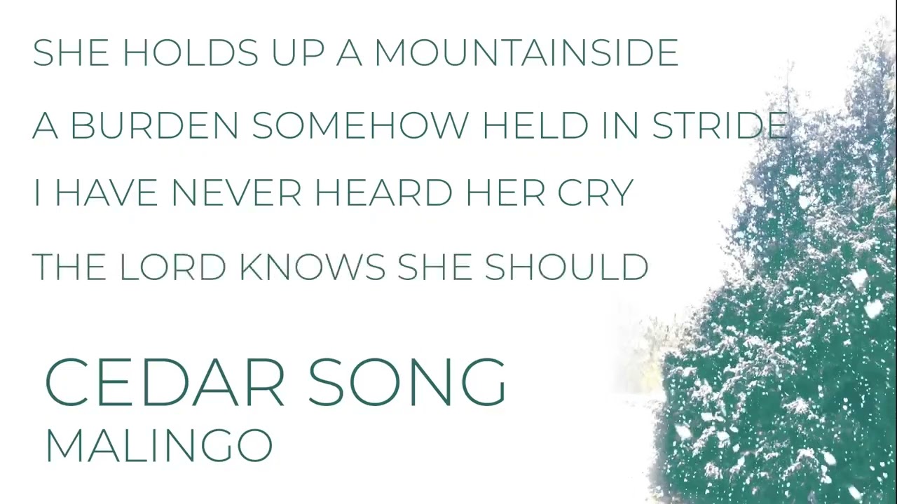 Guarda Cedar Song | Lyric Video | Malingo su YouTube Guarda Cedar Song | Lyric Video | Malingo su YouTube