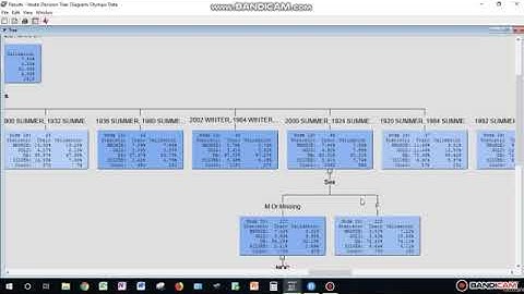 ISM 6136 SAS Enterprise Miner Video