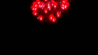 VID-20110703-00001