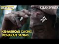 TERSESAT DAN BERTAHAN HIDUP SENDIRIAN DI HUTAN AMAZON || ALUR CERITA FILM JUNGLE (2017)