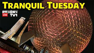  Tranquil Tuesday At Epcot  A Relaxing Evening  Walt Disney World  Stream  22426