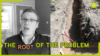 Foundations and Trees: How Deep to Dig
