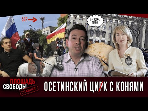 Видео: Даниэла Кон и политика сострадания - Matador Network