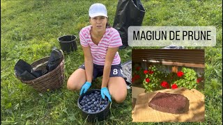 FACEM SOLVOIȘ / MAGIUN DE PRUNE! BUNICA ÎMI EXPLICĂ… 🫐