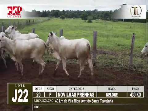 LOTE J22