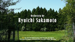 🎥 𝟰𝗸 𝐩𝐥𝐚𝐲𝐥𝐢𝐬𝐭ㅣ류이치 사카모토 오케스트라, 음악의 숲ㅣOrchestra by Ryuichi Sakamoto, Acua, Rain, Opus