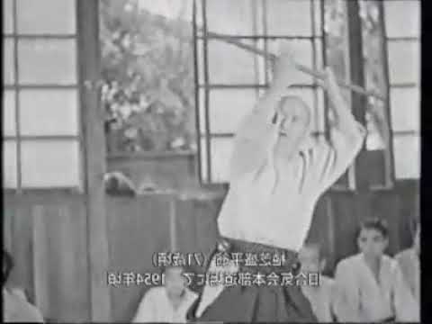 Aikido in action