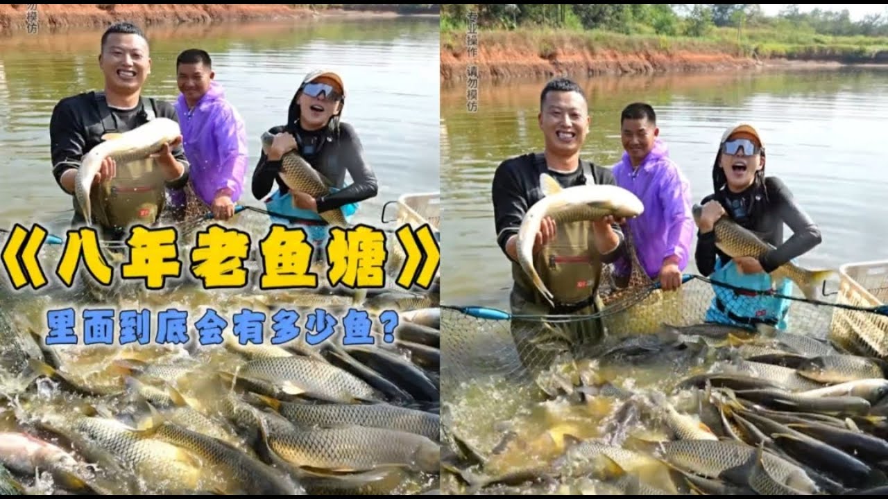 花21000元包下8年没干的大山塘，没想到里面的鱼竟然这么多？ #户外抓鱼 #户外捕鱼 #小飞哥抓鱼 #乡村生活 #农村生活