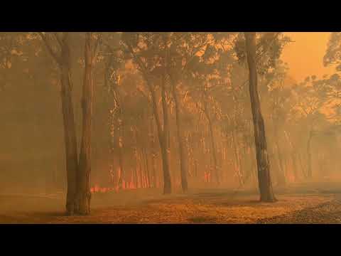 Raw Video This One Thing Could Ruin Your Naked Eden Sher Trip Avoid This Mistake Journal - sbwmvf0