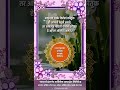 सुविचार #suvichaar #suvichar #goodthoughts #viralvideo #funny #viral