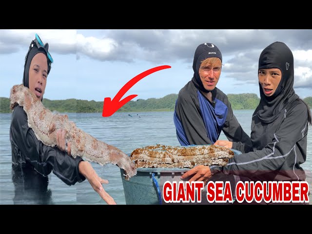 Catching Giant Sea Cucumber|Ito Na Ata Pinakamalaking Sea Cucumber Na Makikita Niyo😧 class=