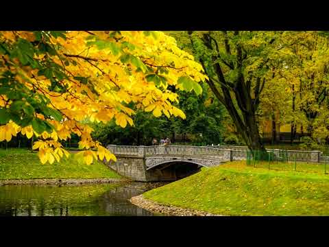 Russian golden autumn -  L'automne doré en Ruisse - Mùa thu vàng nước Nga