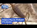 Criança de 1 ano e 6 meses picada por escorpião segue em estado grave no DF | Balanço Geral DF