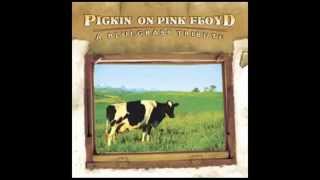 Vignette de la vidéo "Another Brick In The Wall - Pickin' on Pink Floyd: A Bluegrass Tribute - Pickin' On Series"