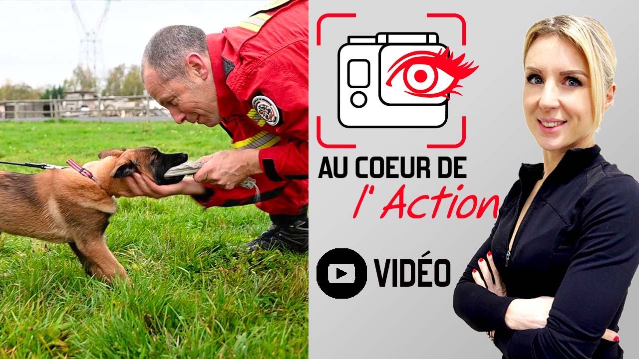 Au Cœur de l'Action avec les équipes cynotechniques