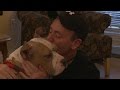 A Rescued Blind Dog and an Old Friend Are Tearfully Reunited