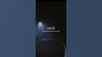 اكتب شيء تؤجر عليه 💚😴 / القارئ ياسر الدوسري | قران كريم