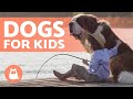 10 Best DOGS for CHILDREN 🐶👧🏼 Kid-Friendly Breeds
