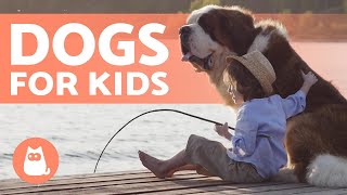 10 Best DOGS for CHILDREN 🐶👧🏼 Kid-Friendly Breeds