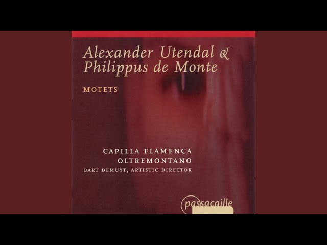 Capilla Flamenca - Fratres expurgate