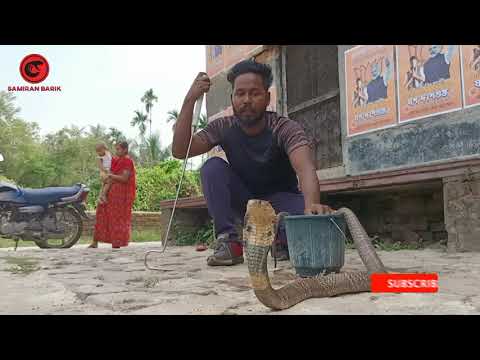 ভিডিও: আক্রমণাত্মক ডাক নামটি আটকে থাকলে