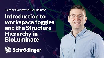 Learn Maestro BioLuminate: Introduction to Workspace Toggles and the Structure Hierarchy
